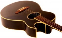 acoustic guitar