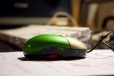 Computer mouse green
