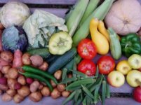 Veggies in august